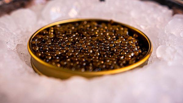 Black Almas buy caviar online - Boutique Caviar et Saumon Paris