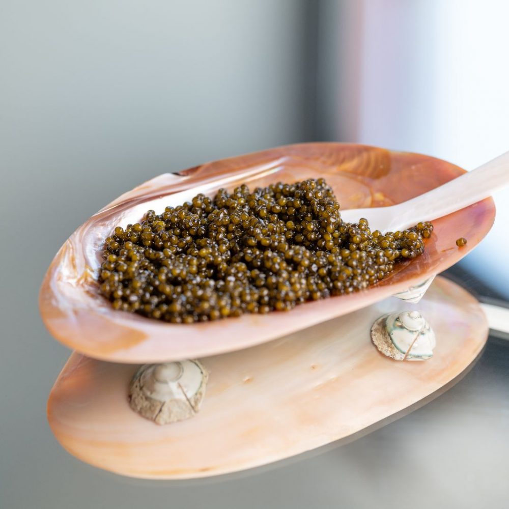 High quality Caviar - Buy Caviar Online - Black Almas