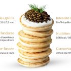 Dégustation de Caviar Royal Selection Black Almas avec cuillère en nacre