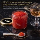 Œufs de lompe rouges premium