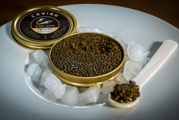 2. Le caviar Beluga – Le caviar le plus prestigieux