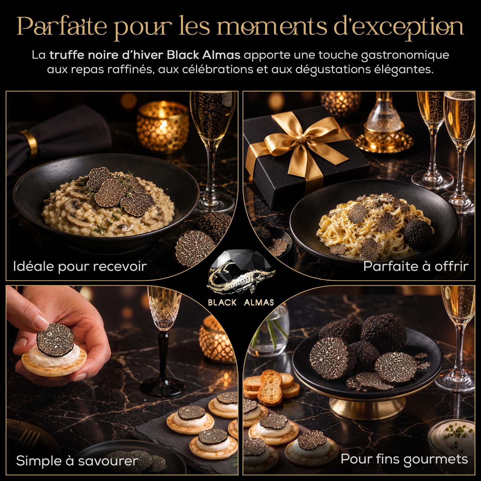 Fresh black Tuber melanosporum truffles for gastronomy