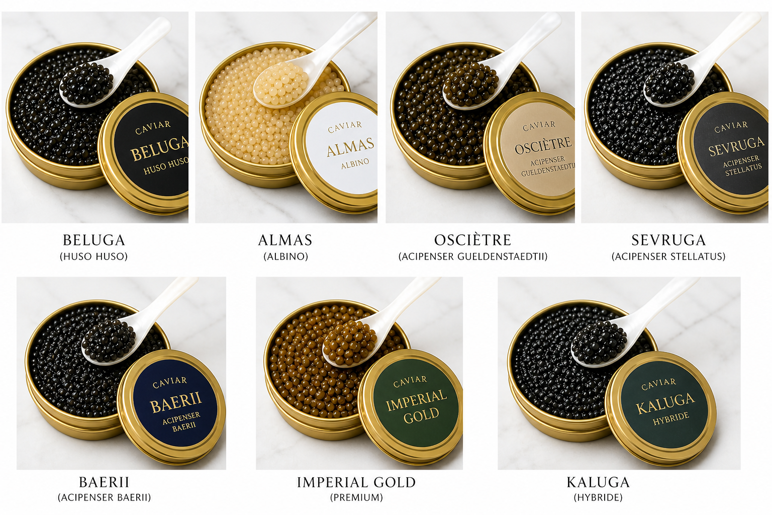 Top 7 des caviars les plus chers au monde